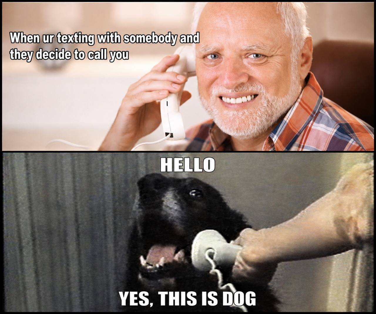 Two-panel meme about texting someone who calls back, answered by the dog on the telephone.